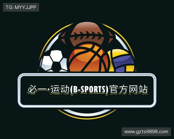 关于B体育官网
